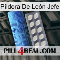 Píldora De León Jefe 34